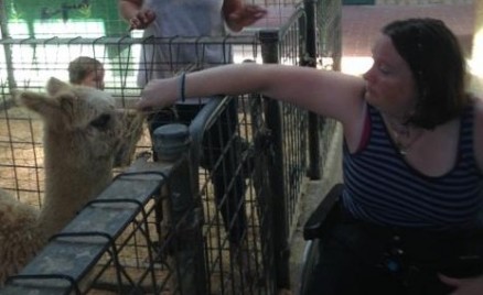 Heather and alpaca
